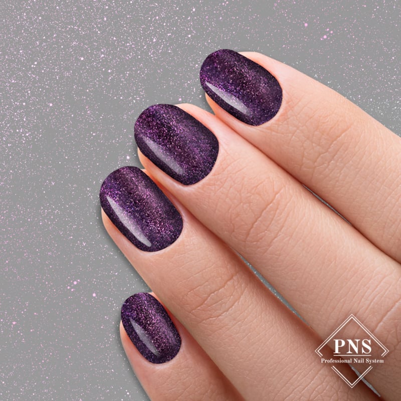 PNS No Wipe Top Chameleon I