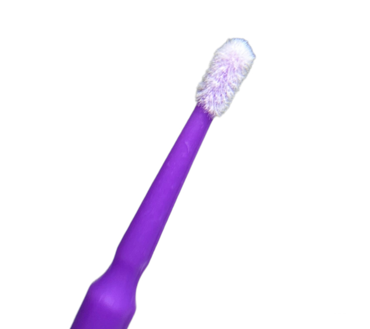 Microbrushes Paars 100 Stuks | Professionails By Nikki