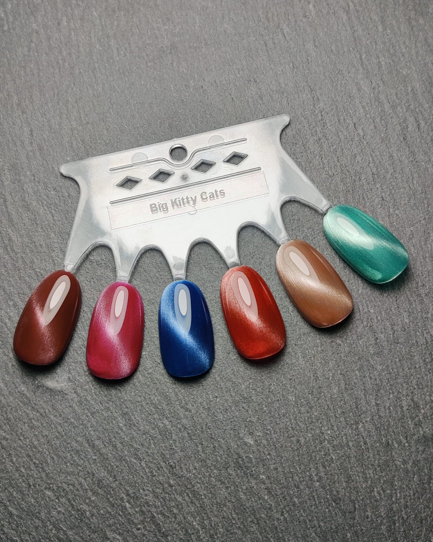 My Little Polish Big Kitty Cats Collection