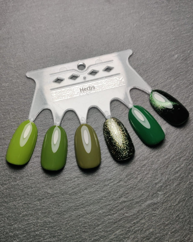 My Little Polish Herbs Collection