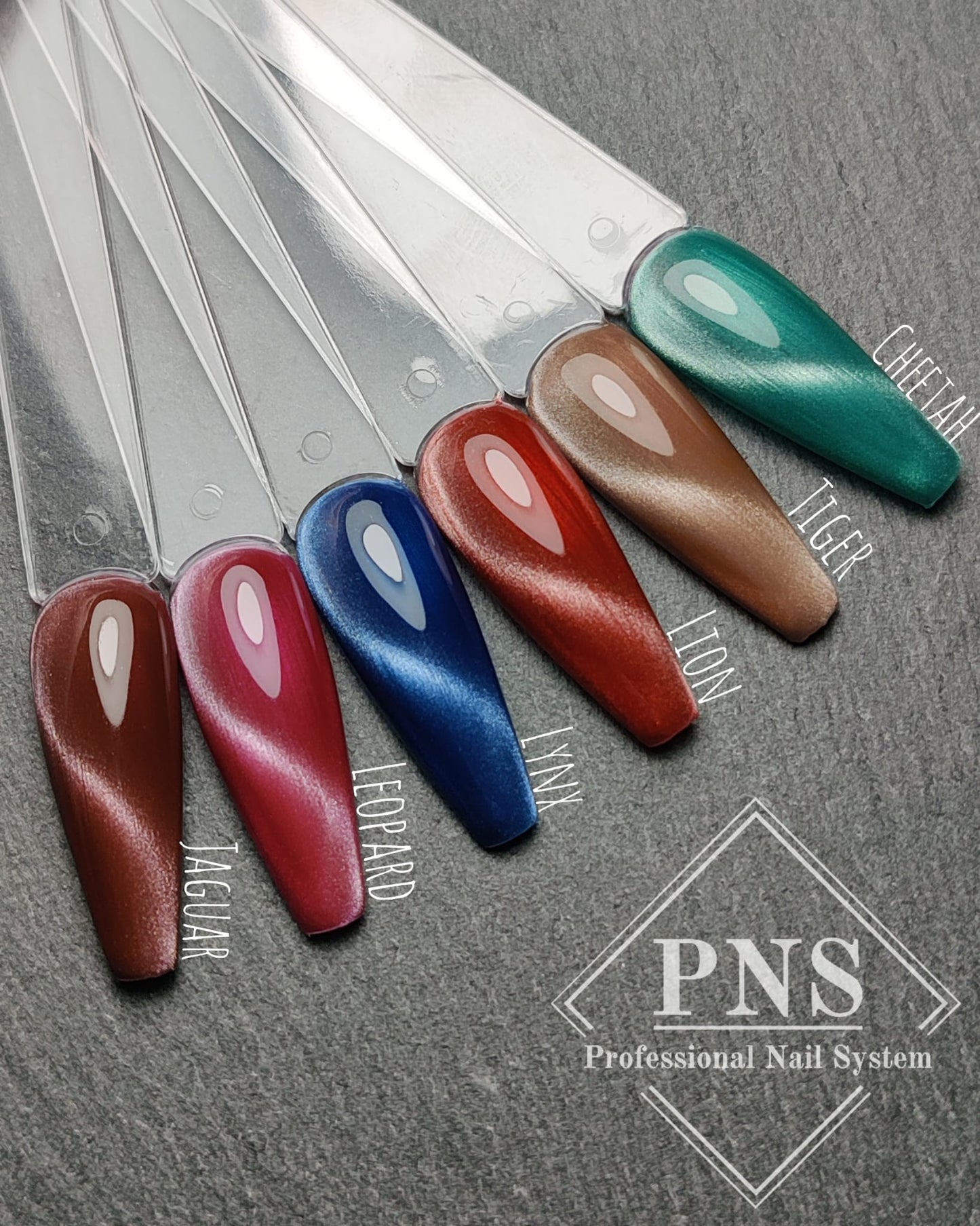 My Little Polish Big Kitty Cats Collection