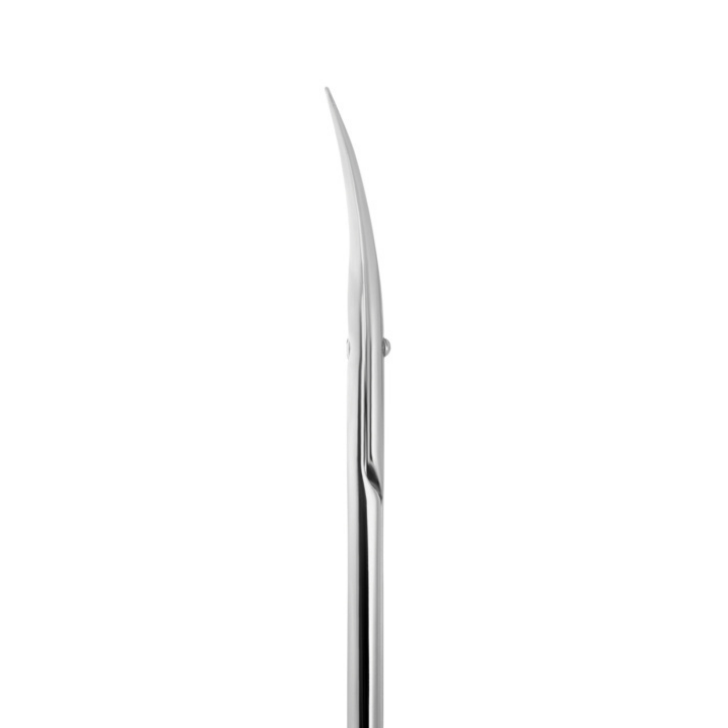 Staleks Exclusive Cuticle Scissor 20/1M