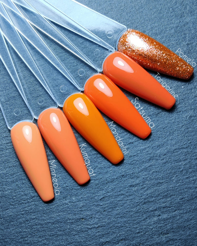 My Little Polish Florida Collection