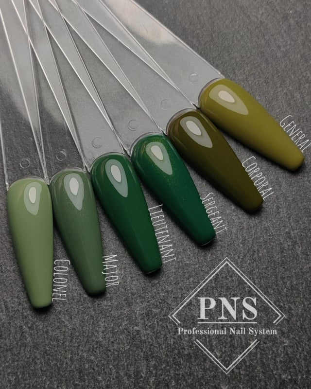 My Little Polish Militairy Collection