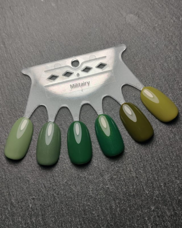 My Little Polish Militairy Collection