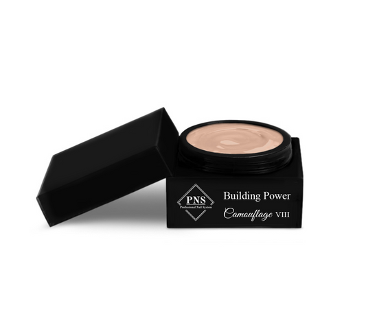 Building Power Camouflage VIII