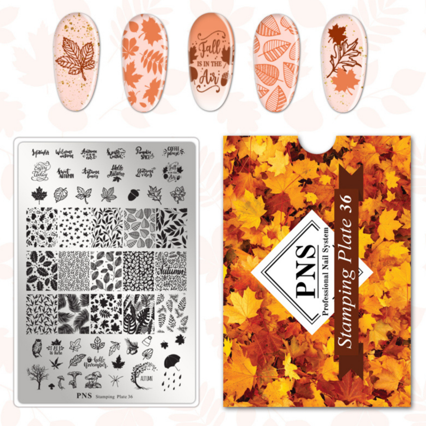 PNS Stamping Plate 36